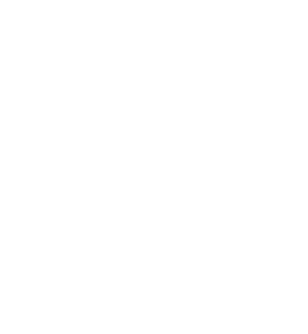 TDI Settlement